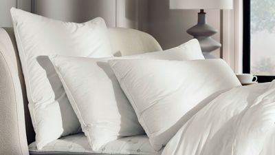 I'm a sleep editor, and my favorite pillow is never on sale – it was 20% off for Prime Day
