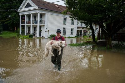 Northeast flooding triggered by rains