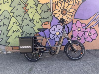 Rad Power RadRunner 3 Plus e-bike review: a cargo bike with car replacement capabilities