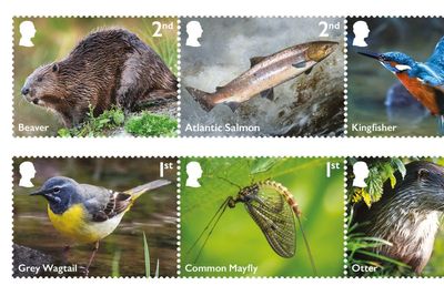 New stamps issued featuring birds, mammals, insects and fish