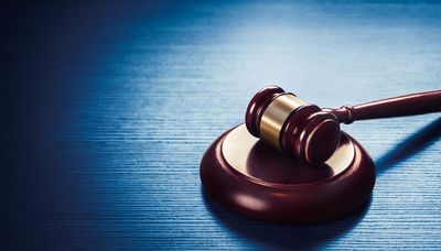 Wicker Park man charged with killing, torturing cats