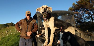 Consumers want NZ farmers to comply with regulations -- better monitoring and transparency would help to build trust