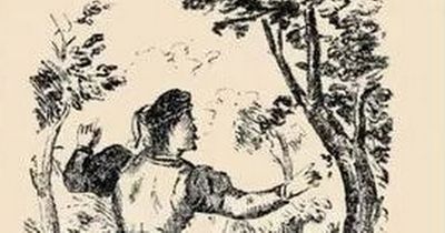 Can you find the hidden face in this image in 9 seconds or less?