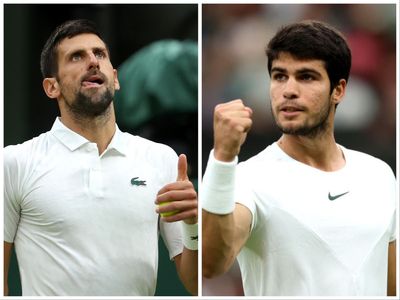 Who is in the Wimbledon semi-finals?