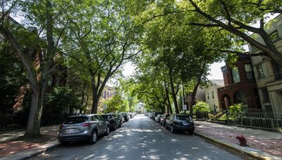 Where’s the leaf? Chicago region needs more trees to help environment, improve lives