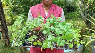 Grow your own Onam lunch with this seed tray from Aluva in Kochi