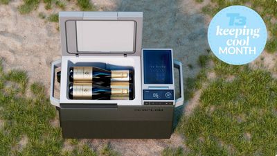 Your next camping trip won’t be complete without these cool boxes, bags and bottles