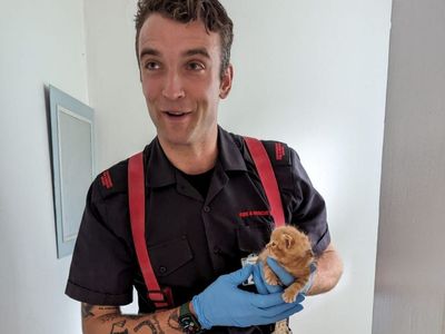 Firefighters Rescue Kitten Stuck In Bathroom Pipe