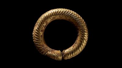 'Eye-catching' gold hair ring and Britain's oldest wooden comb found in Bronze Age burial