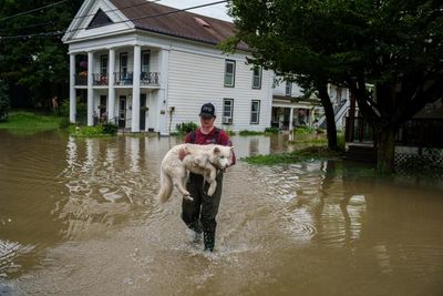 ‘Definitely unprecedented’: Vermont wildlife also affected by historic flooding