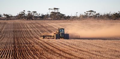 What this year's El Niño means for wheat and global food supply
