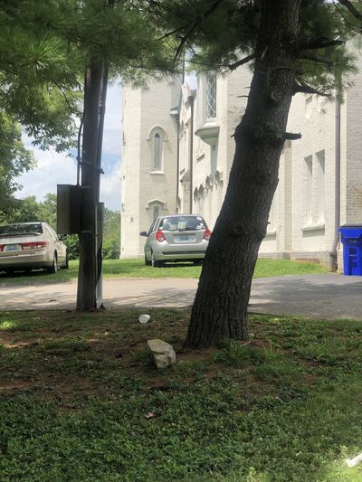 Lex Litter Fest set for Lexington’s Castlewood Park Saturday