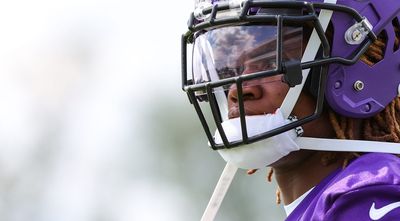 Vikings 90-man roster player profile: S Lewis Cine