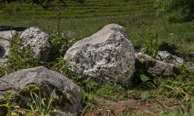 ‘Hugely exciting and rare’: Neolithic polishing stone found in Dorset