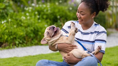 Owning a puppy is no walk in the park! Here’s eight things you need to know, according to a trainer
