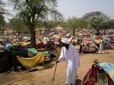 Calls for UK to act over violence tearing Sudan apart as mass grave found in Darfur: ‘We are doing nothing’