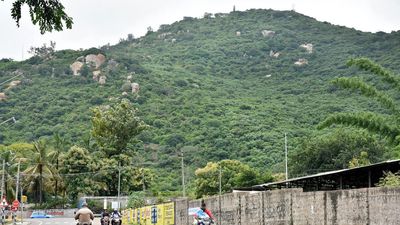 Make Chamundi Hills plastic-free by Dasara, says NGT panel chief