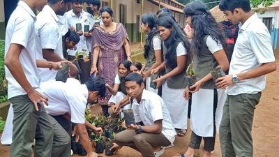 Nursery at school to plant saplings along highway in Wayanad