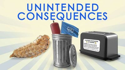 Great Moments in Unintended Consequences: Venomous Bugs, Warning Labels, Carbon Credit Scheme (Vol. 12)