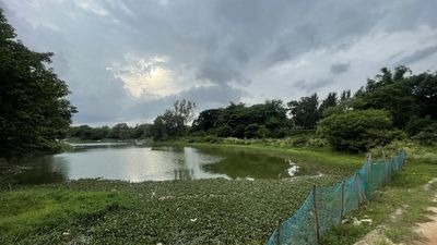 Hebbal, Nagawara lakes deprived of maintenance without resource allocation from government