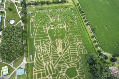 Farmer carves world record-setting image of Tutankhamun into field of maize