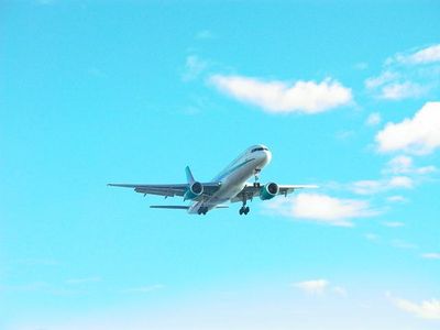 Discover 4 Airline Stocks Worth Considering for Investment