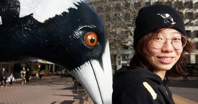 Forget the puffer jacket ... Big Swoop merch is now peak Canberra
