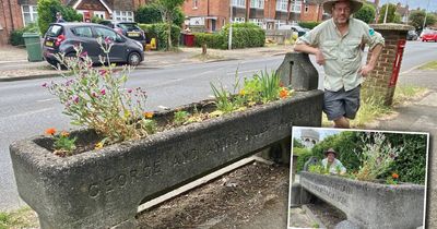 Look what I found on my travels!