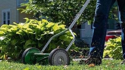 5 reasons why I bought a push lawnmower on Prime Day