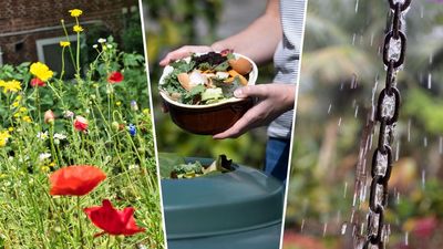 14 easy sustainable garden ideas recommended by horticultural experts