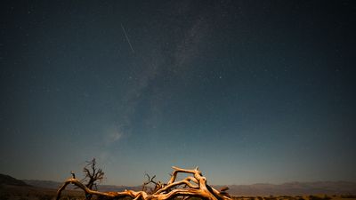 The summer meteor showers of 2023 could be awesome. Here's how to see them