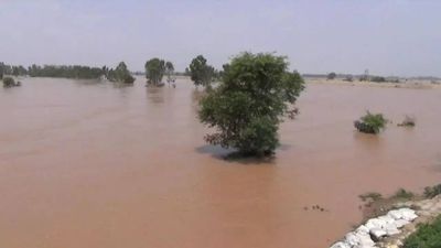 Water level in Ghaggar canal decreases in Haryana's Kaithal district