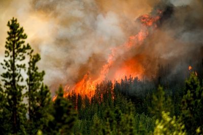 Wildfire Season In West On The Verge Of Explosive Development