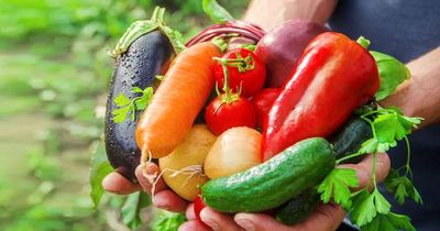 How to get fit and eat for free