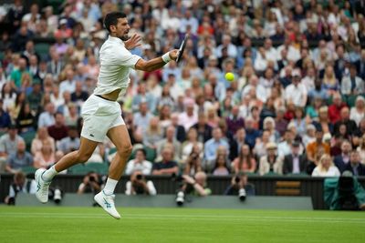 Novak Djokovic and Carlos Alcaraz meet in the Wimbledon final