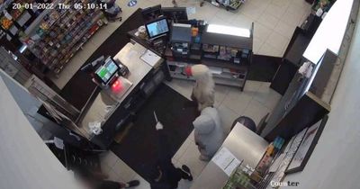 A stabbing, $7000 in smokes stolen, a knifepoint hold-up: spree ringleader jailed