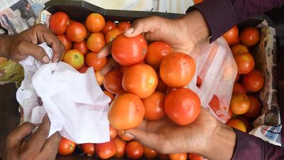 Government reduces subsidised tomato price to ₹80 a kg