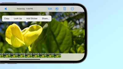 How to use Visual Look Up on videos with iOS 17