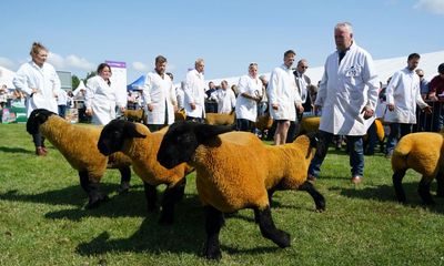 Agricultural shows boom across the UK as record crowds flock to the fields