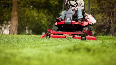 Riding Mower vs Zero Turn Mower: Which is best for your lawn?