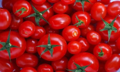 Centre slashes wholesale tomato price to Rs 80/kg, change to reflect in select cities from today