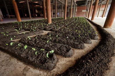 Liverpool Biennial 2023 review – horror and healing