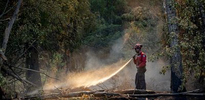 Joining forces: How collaboration can help tackle Canada’s escalating wildfire threat