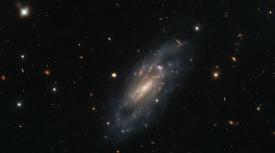 Hubble telescope captures stunning shot of spiral galaxy (photo)