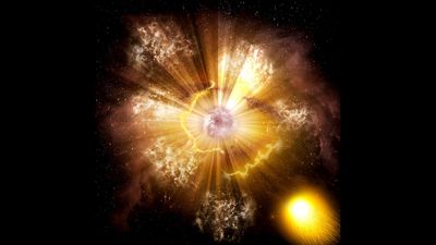 Super-close supernova captivates record number of citizen scientists