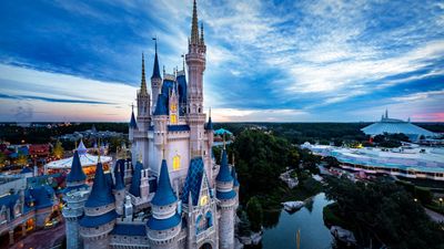 Walt Disney World Resort Guest's Free Service Returns.