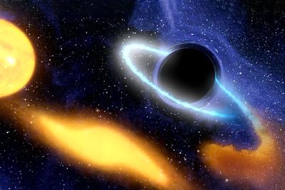 Dark matter-powered stars may exist