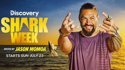 How to watch Shark Week 2023: Discovery's week of shark shows is back