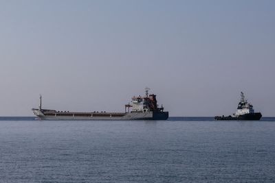 Watch live: Final grain ship arrives in Turkey after Russia pulls out of Ukraine deal