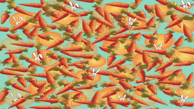 Optical illusion: Only a true detective can find a pencil among the carrots in 5 seconds